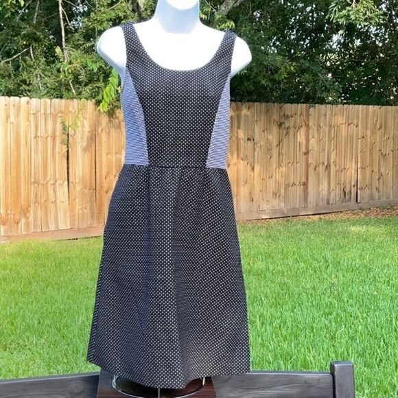 Take 50% OFF- The Limited PolkaDot&Brick Dress, Black & white color, Size-8. - Picture 1 of 8